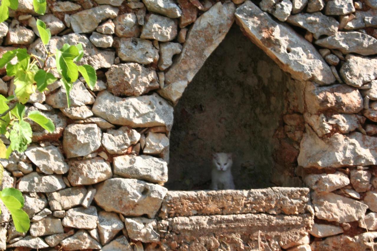 Casa Eduardo Bed and Breakfast Ostuni Εξωτερικό φωτογραφία